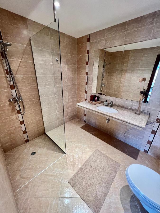 Luxury Apartment Pirin Chalet In Terra Complex 班斯科 外观 照片